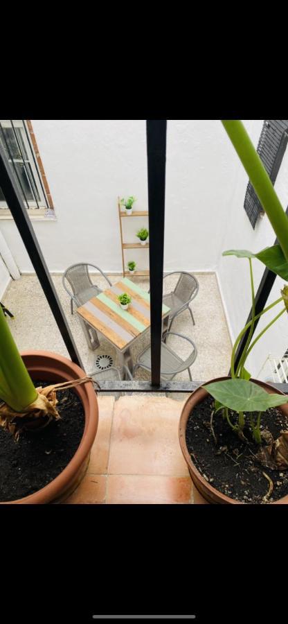 קורדובה Apartamento San Eloy Con Patio Privado מראה חיצוני תמונה
